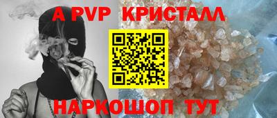 амф Гатчина