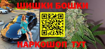 амф Гатчина