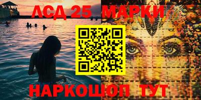 амф Гатчина