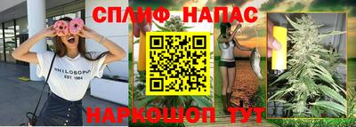 амф Гатчина