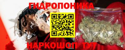 амф Гатчина