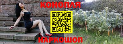 амф Гатчина