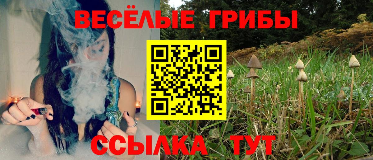Псилоцибиновые грибы MAGIC MUSHROOMS  Галлюциногенные грибы Magic Shrooms  Вход с VPN  Можайск 